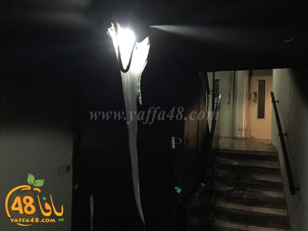 fire in bikes (4).jpg